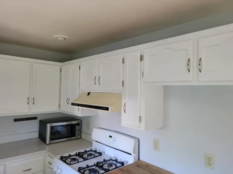 Cabinet Painting in Nampa, ID - Men in White Painting